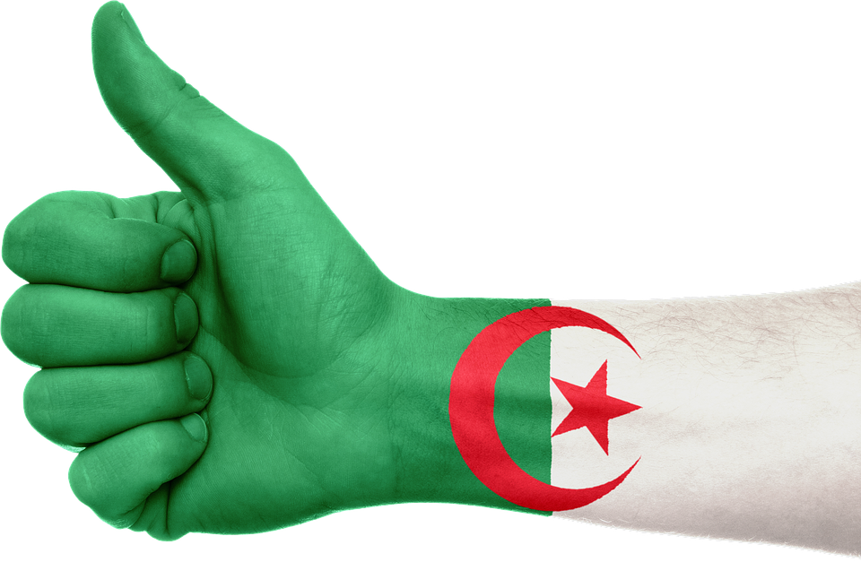 Lire la suite à propos de l’article La Circulation en Algérie