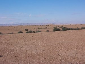 desert, Assurance Internationale Tunisie, voiture assurée désert