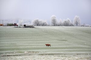 Lire la suite à propos de l’article PREPARER SA VOITURE POUR L’HIVER : conseils pratiques