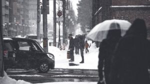 Conduire en Hiver : Maîtriser les Bouchons et Rouler en Toute Sécurité