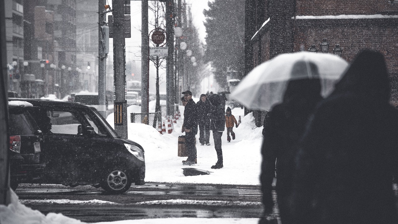 Lire la suite à propos de l’article Conduire en Hiver : Maîtriser les Bouchons et Rouler en Toute Sécurité