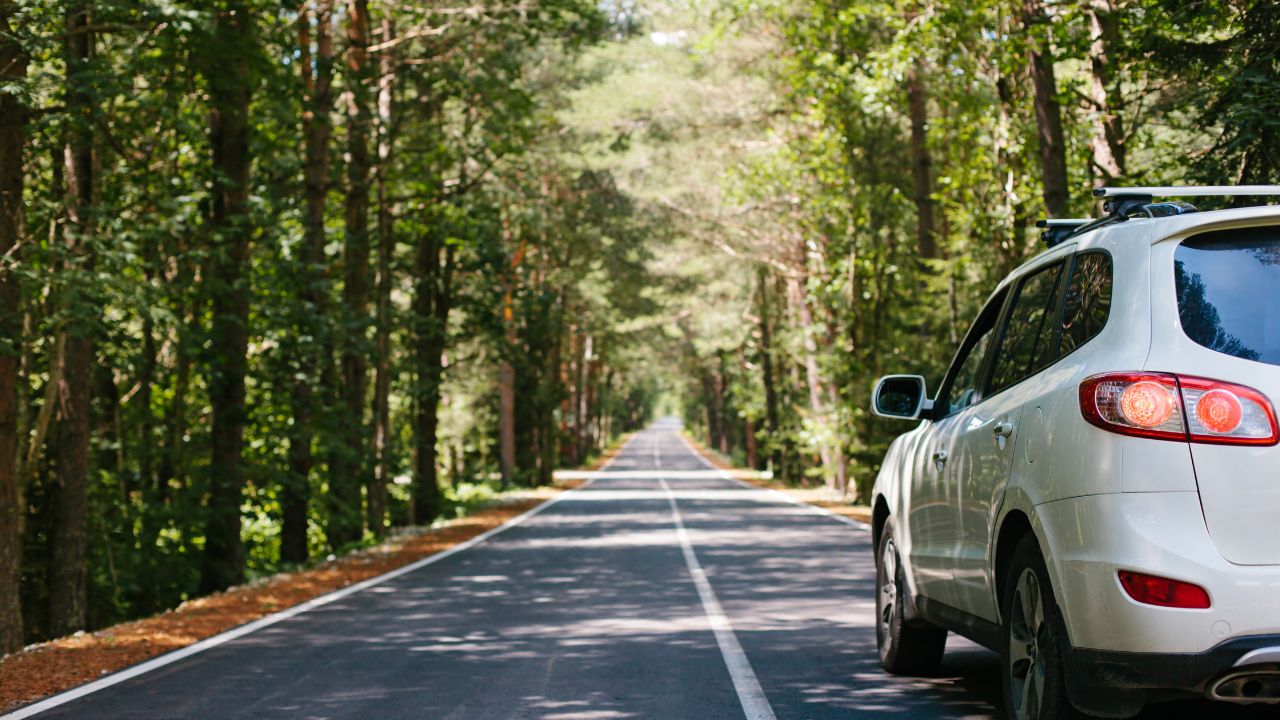 Lire la suite à propos de l’article Est-ce que c’est mieux d’acheter une Voiture Essence ou Diesel en 2025 ?